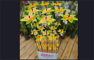 suncatcher